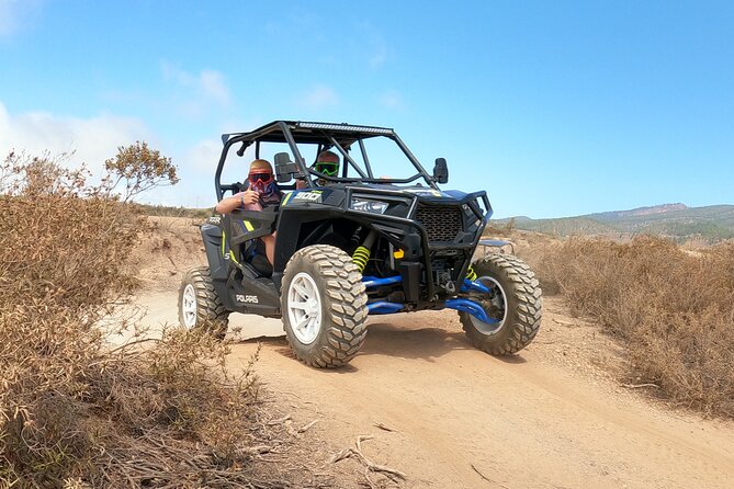 Buggy Tour Volcano TEIDE With Wine Degustation at Canarian Winery - Canarian Winery Visit