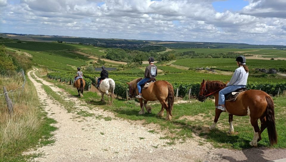 Burgundy : Horse Riding Tour in Chablis - Experience Options