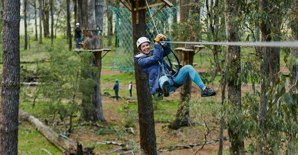 Busselton: Forest Adventure With Zip Lining and Rope Course - Pricing Information