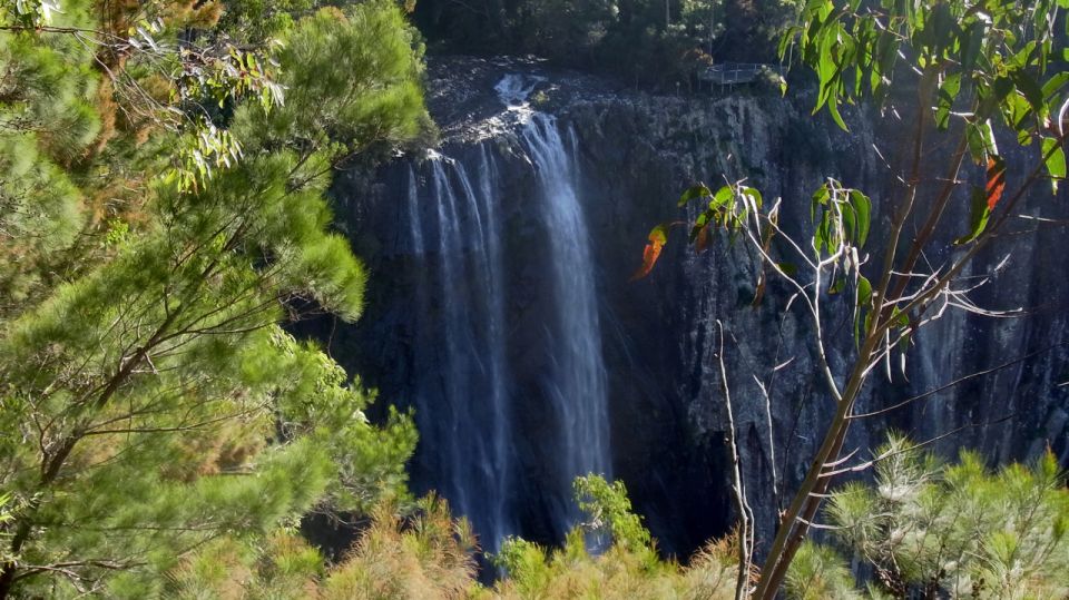 Byron Bay Hinterland: National Park and Waterfalls Tour - Tour Inclusions and Restrictions