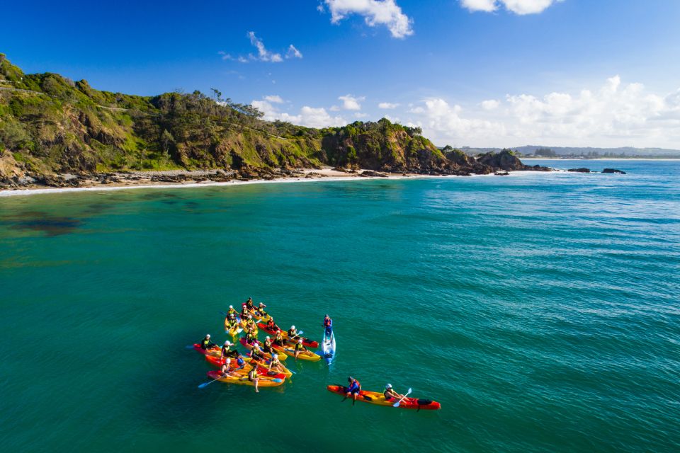 Byron Bay: Sea Kayak Tour With Dolphins and Turtles - Itinerary