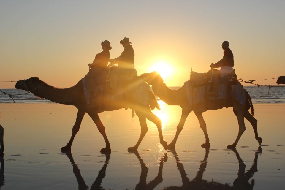 Cable Beach: 1-Hour Sunset Camel Ride - Experience Highlights