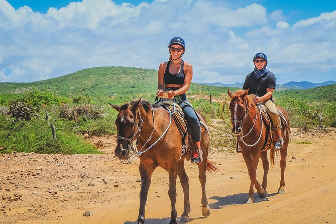 Cabo Horseback Riding on Pacific Beach and Desert - Traveler Reviews and Feedback