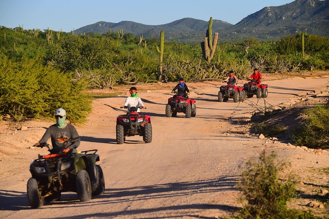 Cabo Migrino Beach and Desert ATV Tour Plus Tequila Tasting - Common questions