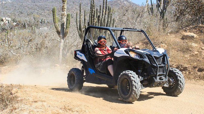 Cabo San Lucas and Margaritas Beach UTV Adventure - Customer Feedback and Recommendations