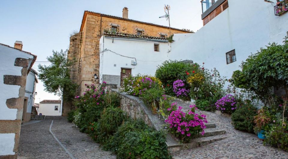Caceres: Highlights, History and Jewish Quarter Walking Tour - Important Information