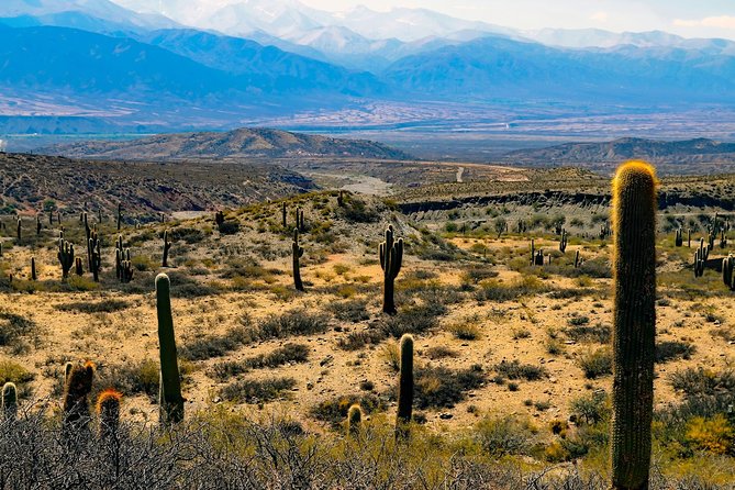 Cachi, Laurel Gorge, Escoipe Gorge, Los Cardones National Park  - Salta - Additional Information