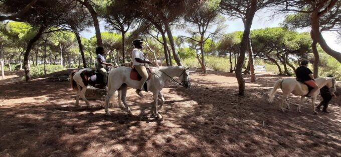 Cádiz Country Side: Ride an Andalusian Horse - Common questions