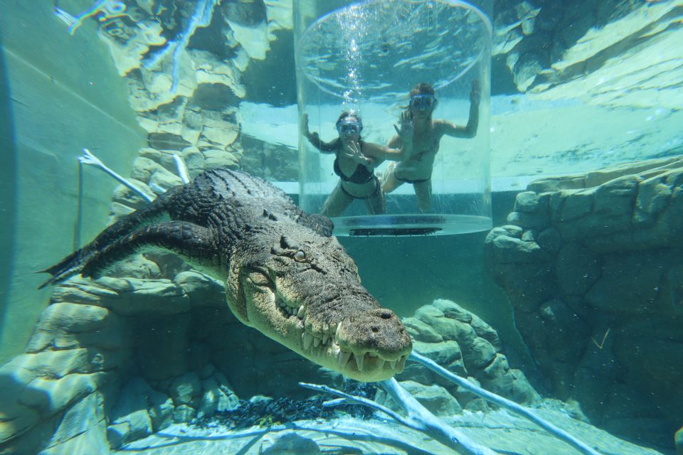 Cage Of Death Crocodile Swim and Entry to Crocosaurus Cove - Inclusions