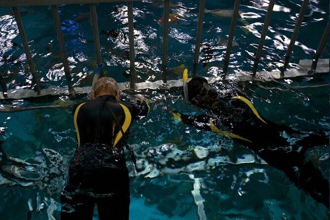 Cage Snorkeling Dubai Mall Aquarium - Common questions