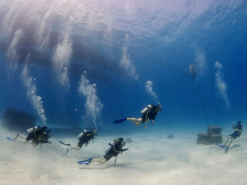 Cairns: 4-Day PADI Open Water Course - Experience Highlights