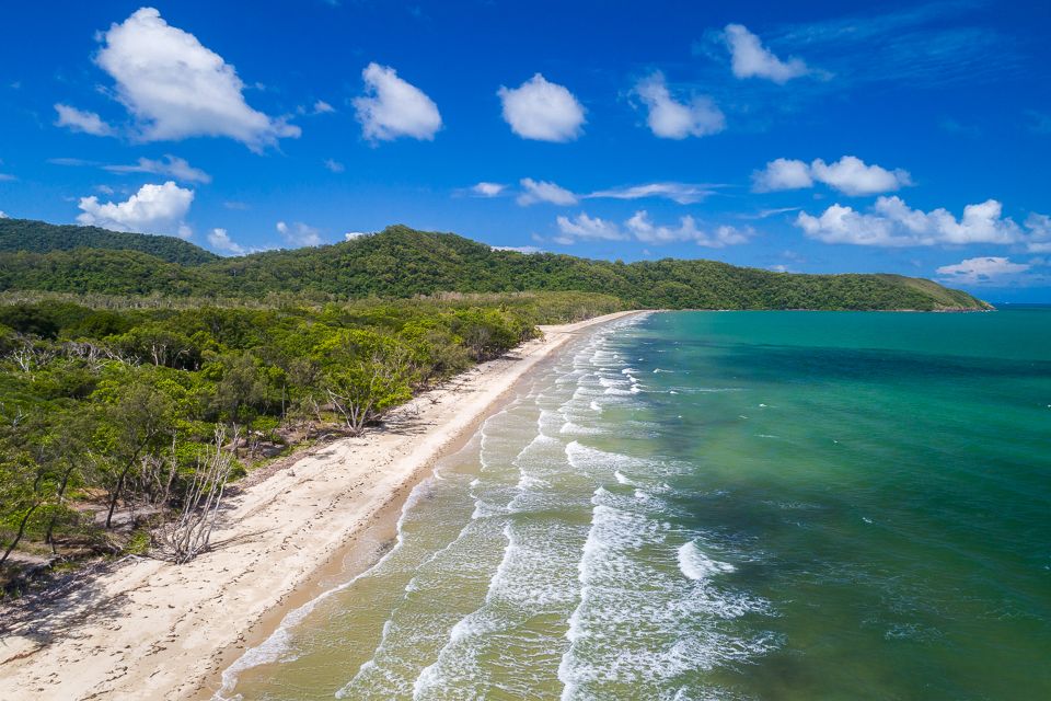 Cairns: Daintree and Mossman Gorge Tour With Cruise Option - Cancellation Policy and Accessibility