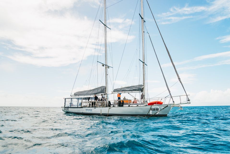 Cairns: Green Island & Great Barrier Reef Sailing Tour - Full Description