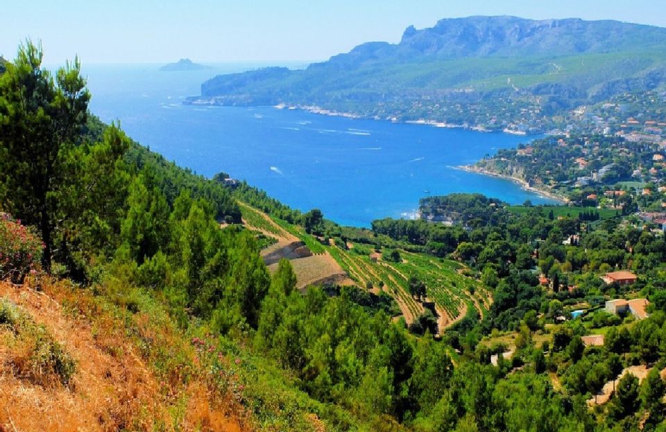 Calanques of Cassis, Aix-en-Provence & Wine Tasting Day Tour - Tour Highlights