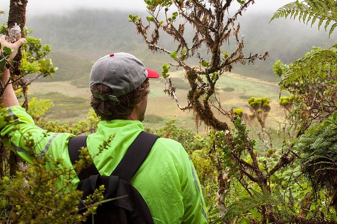 Caldeira Do Faial Descent - Private Hiking Tour - Management by Faial Natural Park