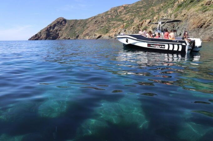 Calvi: Scandola and Piana Guided Boat Tour - Experience Highlights