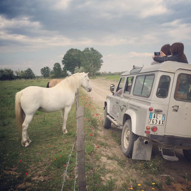 Camargue: Safari From Saintes-Maries-De-La-Mer - Tour Details and Ratings