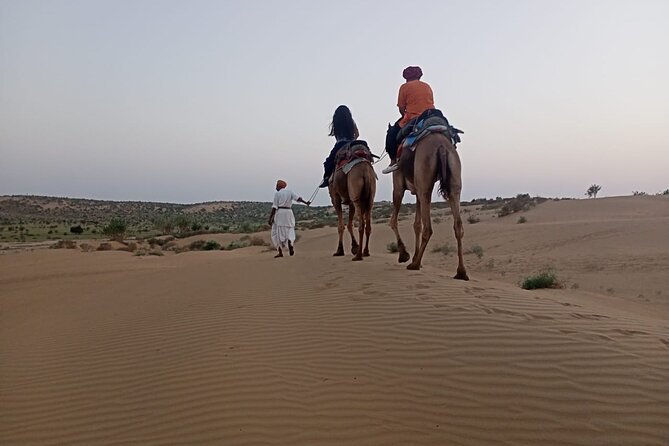 Camel Ride During Sunrise With Breakfast - Capture Memorable Moments