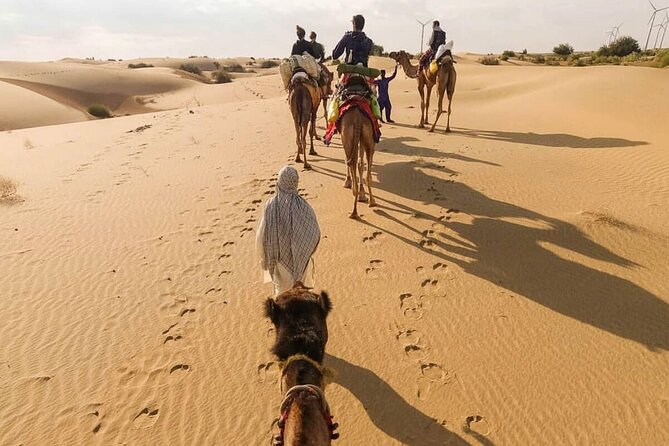 Camel Safari in Thar Desert - Booking and Reservation Process