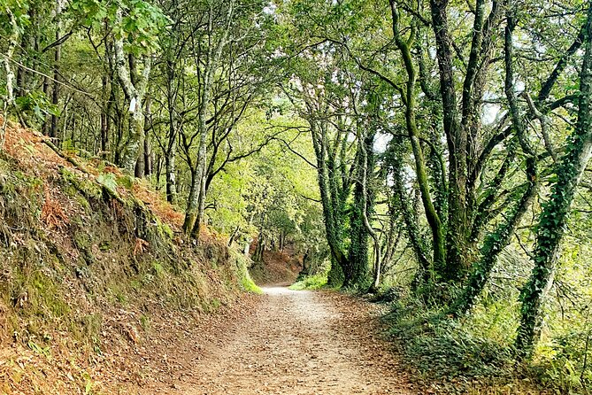 Camino De Santiago: Camino Portuguese Coastal & Spiritual Variant - Additional Information and Details