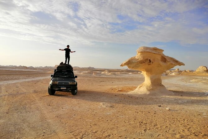 Camping in the White & Black Desert ( Bahariya Oasis) & Cairo Private Transfer - Customer Support and Assistance