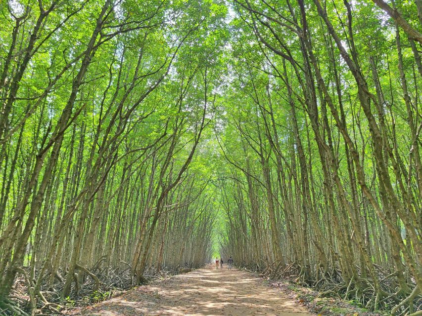 Can Gio Mangrove Biosphere Reserve 1 Day - Full Itinerary