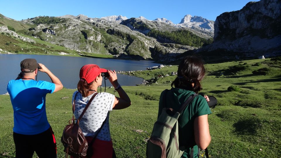 Cangas De Onís: Lakes of Covadonga Guided Tour - Tour Highlights and Inclusions