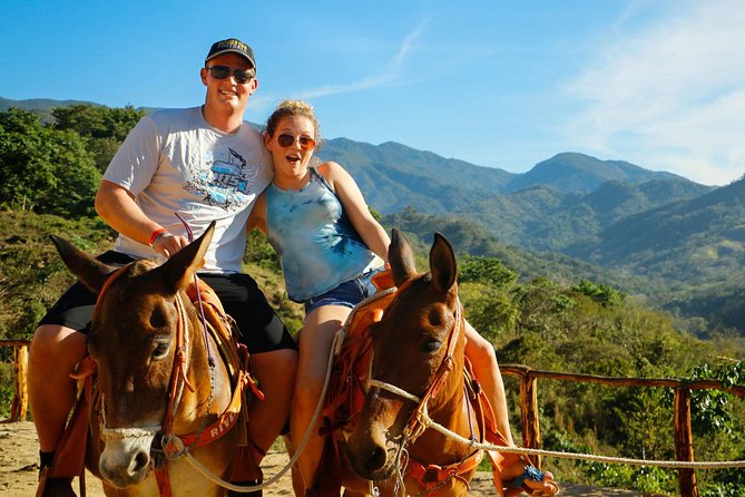 Canopy River Zipline Tour and Mule Ride - Tour Inclusions