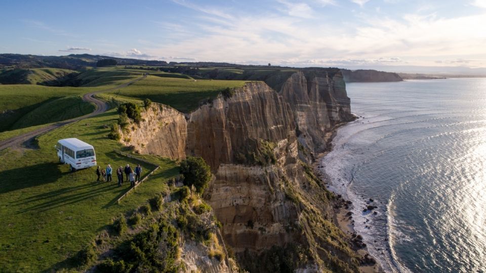 Cape Kidnappers: Gannet Colony Exclusive Sunrise Tour - Full Tour Description