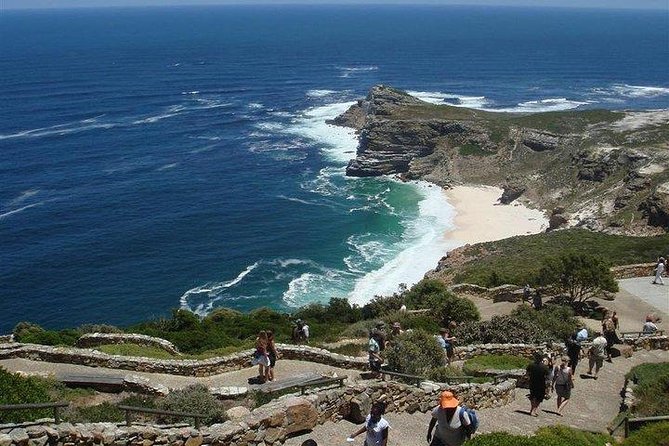 ( Cape Town 3-Days Attraction ) Cobra Car Ride & Cape Point & Wine Tasting - Wine Tasting in Cape Town