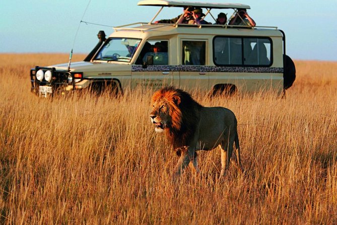 Cape Town, Best Of Big Five Safari Fullday Tour - Expert Safari Guides