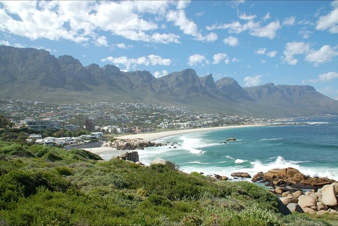 Cape Town Half Day Tour - Company Standards and Values