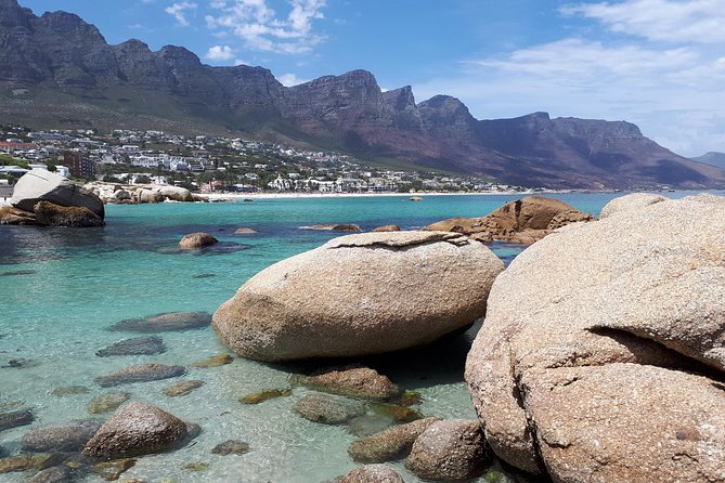 Cape Town Private Bespoke Fully Guided Day Tour - Customer Reviews