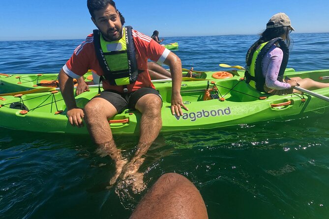 Cape Town Sea Kayaking Adventure Launching From V&A Waterfront - Reviews