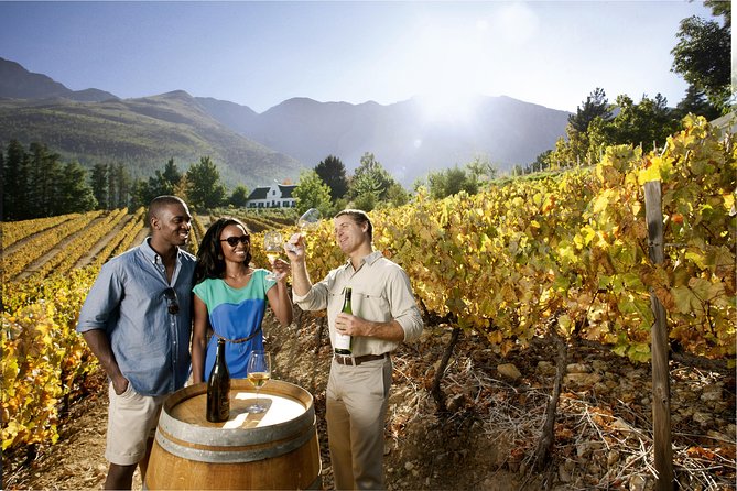 Cape Winelands Shared Day Tour From Cape Town to Stellenbosch and Franschhoek - Optional Wine Tastings