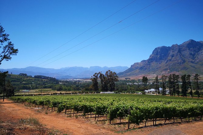 Cape Winelands Stellenbosch Franschhoek Paarl Tour From Cape Town - Tour Route Overview