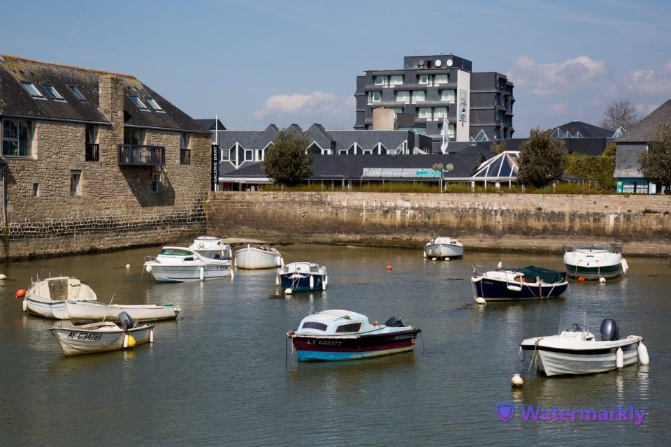 Carnac Tour: Megalithic Marvels and La Trinite Sur Mer - Language Options