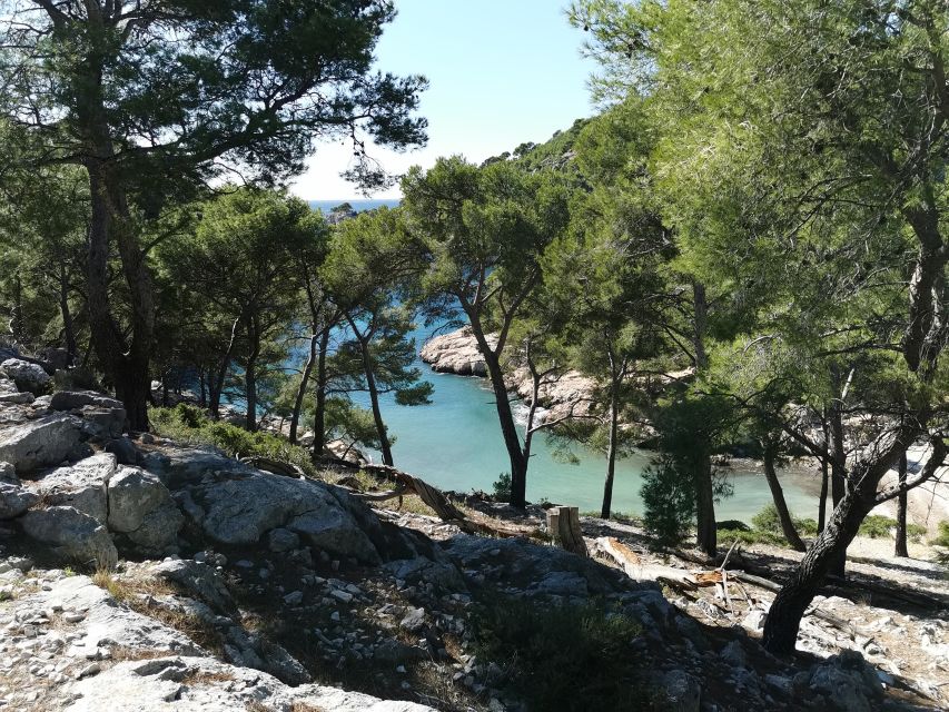 Cassis: Calanques National Park Guided Hiking Half-Day Trip - Booking Information