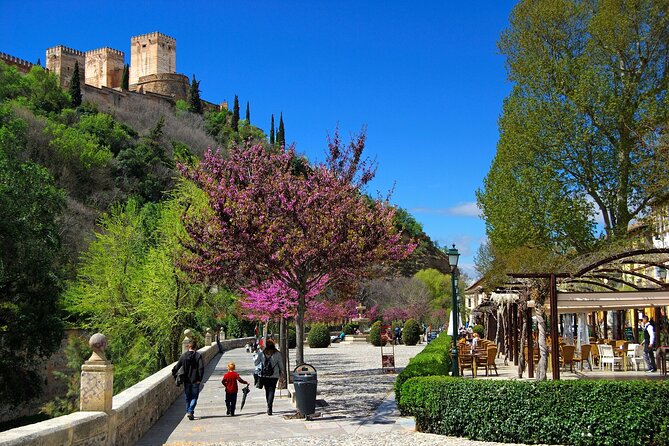 Cathedral and Royal Chapel With Albaicín and Sacromonte Premium - Inclusions and Exclusions