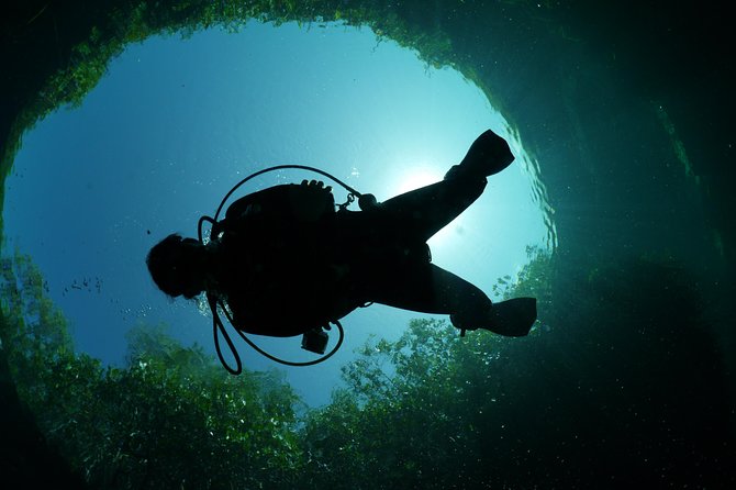 Cenote Diving Experience  - Tulum - Expectations and Requirements