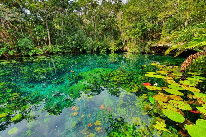 Cenotes Trail Jungle Bike Tour in Tulum With Lunch - Tour Itinerary Highlights