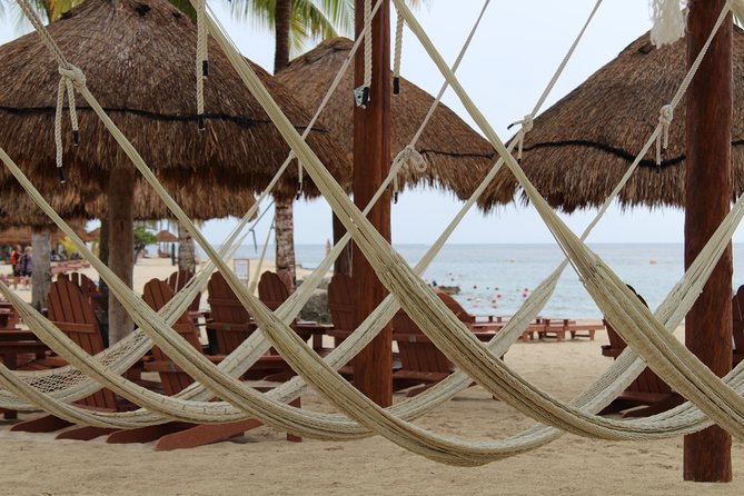 Chankanaab Park Cozumel All Inclusive Day Pass - Pricing and Value Analysis