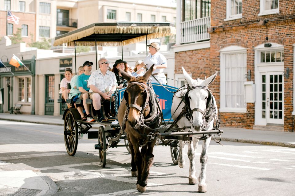 Charleston: 1-Hour Carriage Tour of the Historic District - Meeting Point and Location Details