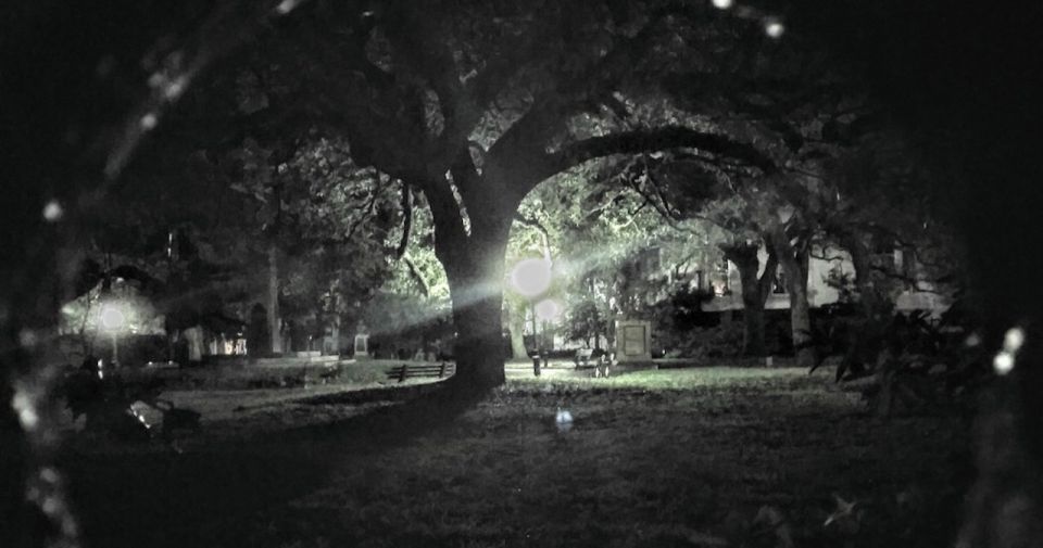 Charleston: Dark History & Ghost Tour - Live Tour Guide