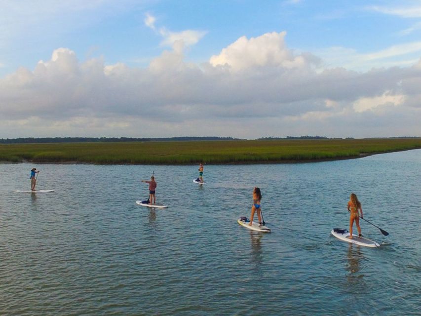 Charleston: Folly Beach Stand Up Paddleboard 2-hour Rental - Highlights