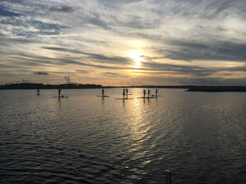 Charleston: Folly Beach Stand Up Paddleboard Dolphin Safari - Additional Information