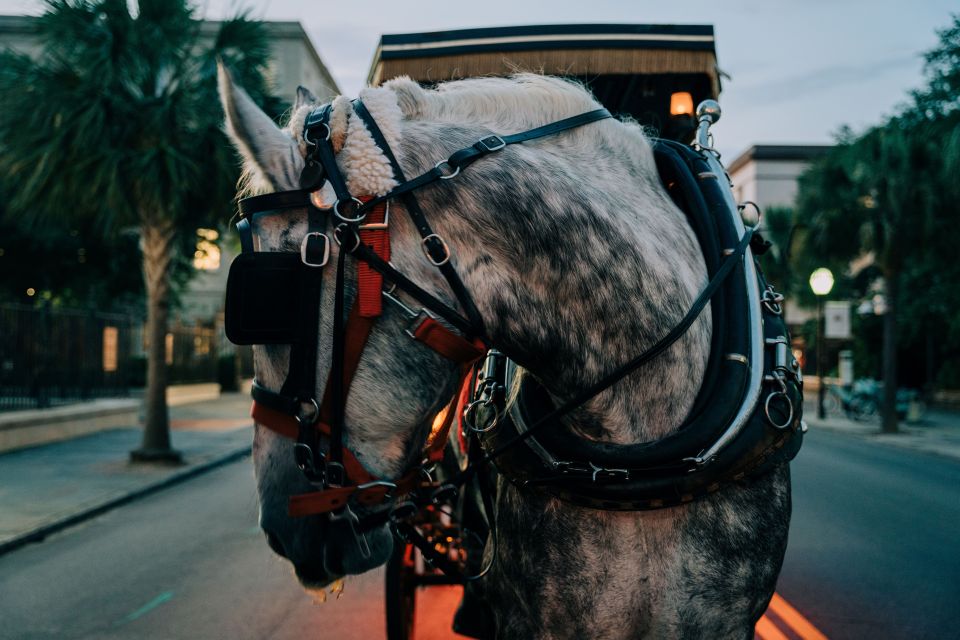 Charleston: Haunted Carriage Evening Tour - Logistics