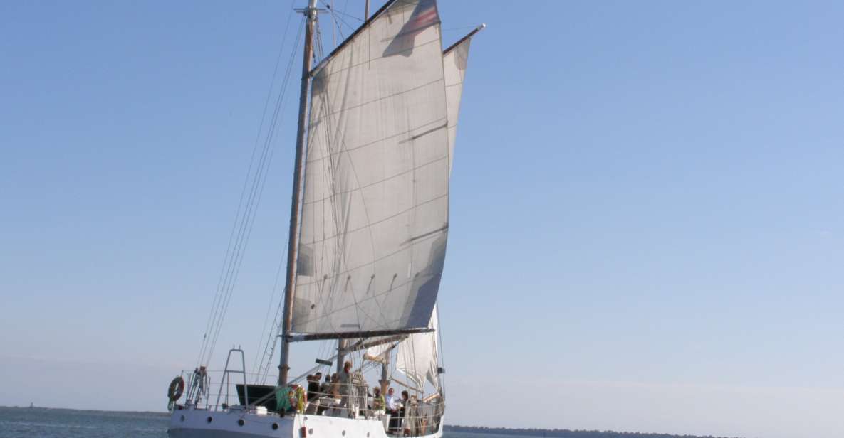 Charleston: Schooner Sailing Harbor Tour & Dolphin Watch - Reviews and Feedback