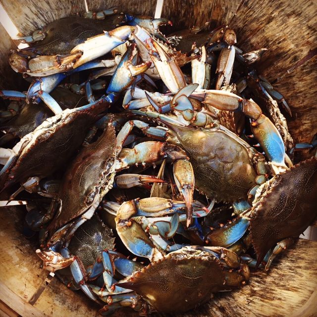 Charleston: Shem Creek Culture Tour - Tour Description