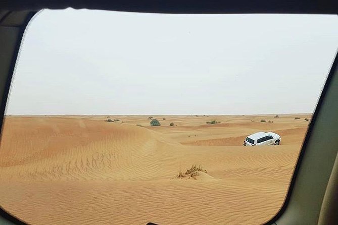 Charming Scenic Dune Safari ! Desert Safari With BBQ Dinner & Camp Activities. - Explore the Enchanting Desert Flora and Fauna